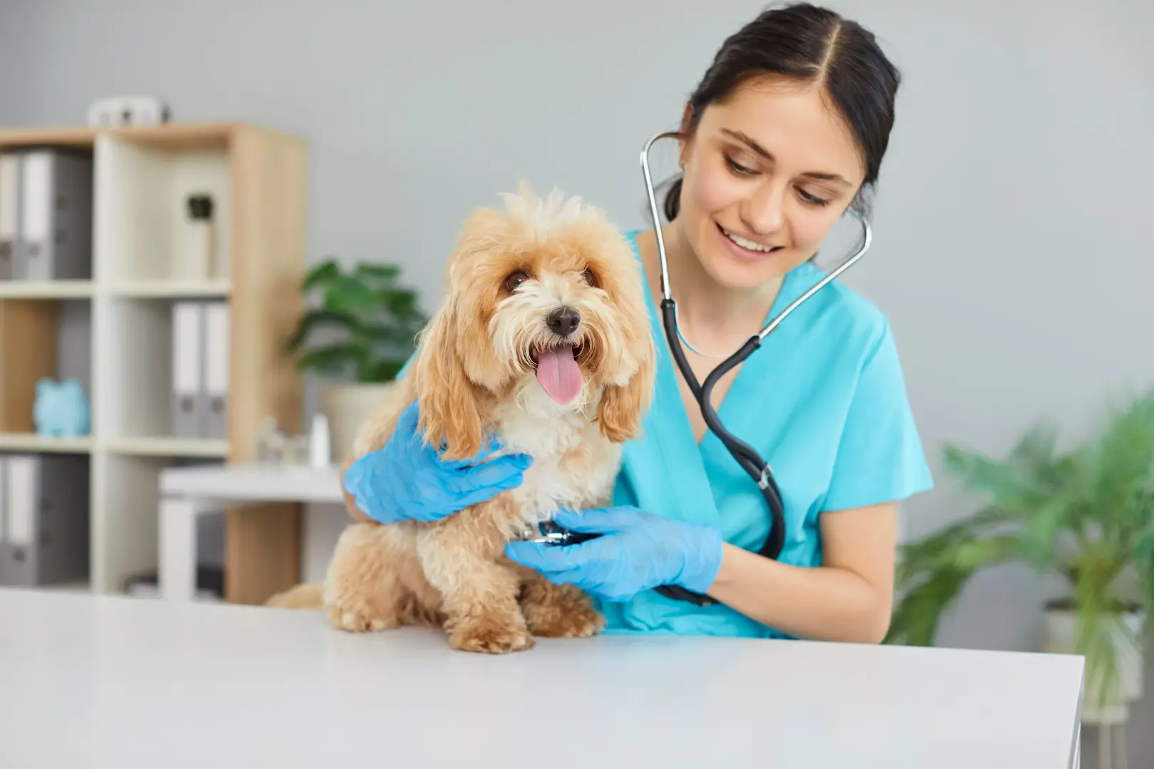 Какие профессии связаны с животными