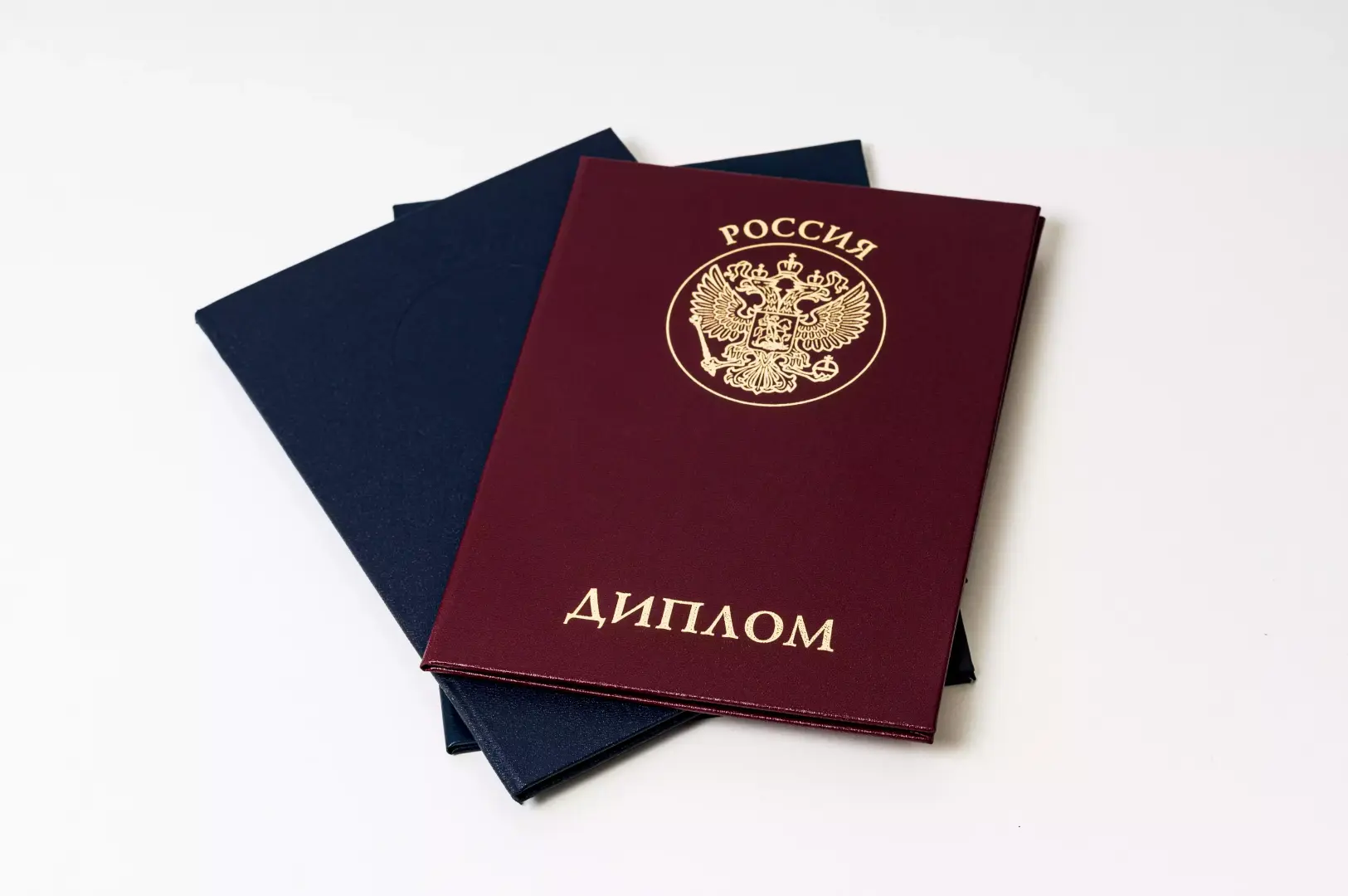 Дипломы государственного и негосударственного образца