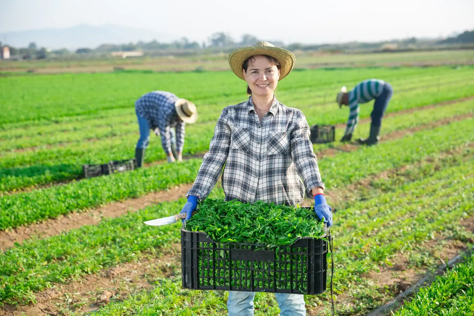 Какие аграрные профессии существуют