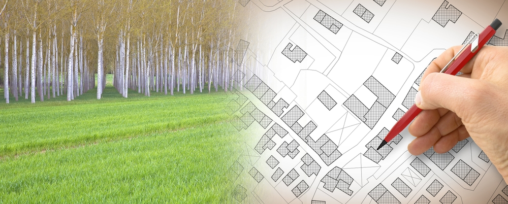 Ландшафтное строительство: как монетизировать любовь к природе и дизайну