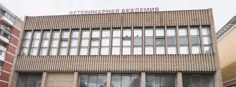 Международная ветеринарная академия