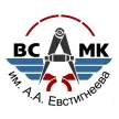 Верхнесалдинский авиаметаллургический колледж им. А.А. Евстигнеева