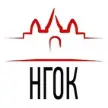 Новосибирский городской открытый колледж