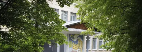 Федоскинский институт ВШНИ