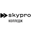 Колледж современных профессий Skypro в г. Казань