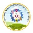 Чунский многопрофильный техникум