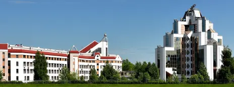 Санкт-Петербургский национальный исследовательский Академический университет имени Ж.И. Алферова Российской академии наук